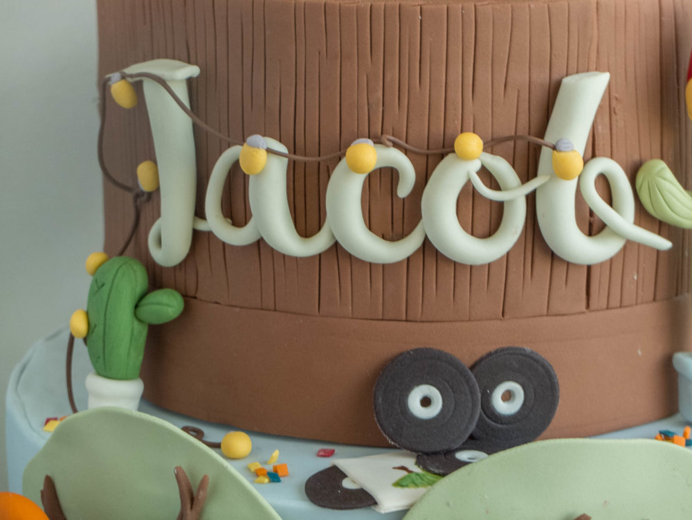 ctcakes-hispteranimals-woods-6
