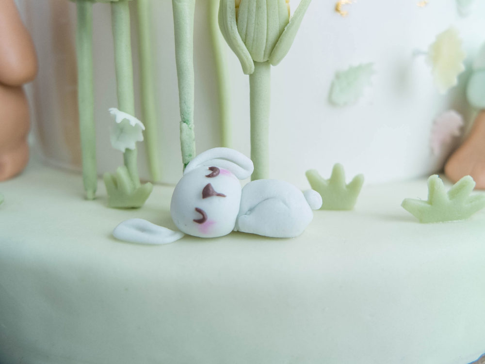 ctcakes-pocahontas-10