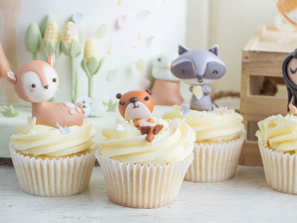 ctcakes-pocahontas-3