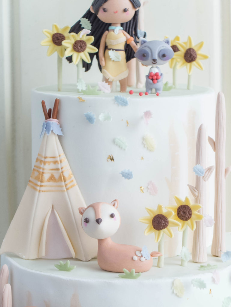 ctcakes-pocahontas-8